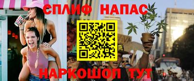 прущие грибы Дубна