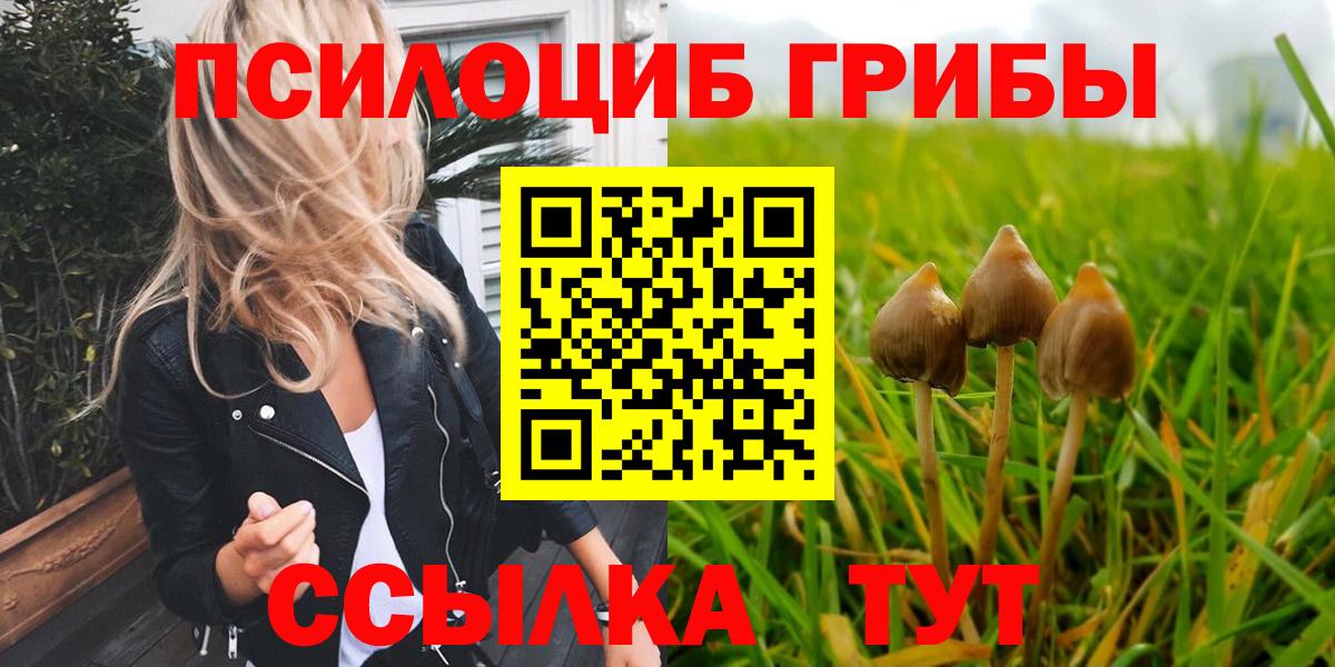 Кызыл  Псилоцибиновые грибы Psilocybe  Вход с VPN 